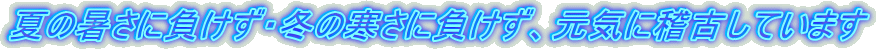 夏の暑さに負けず・冬の寒さに負けず、元気に稽古しています
